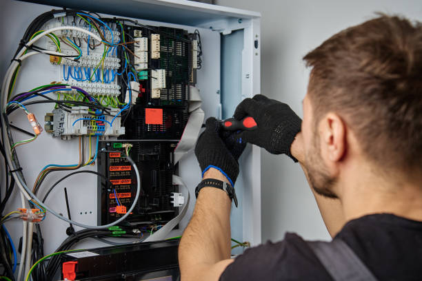 Licensed Electrical Panel Upgrade service in Lake Wisconsin, WI - No Joke electrician